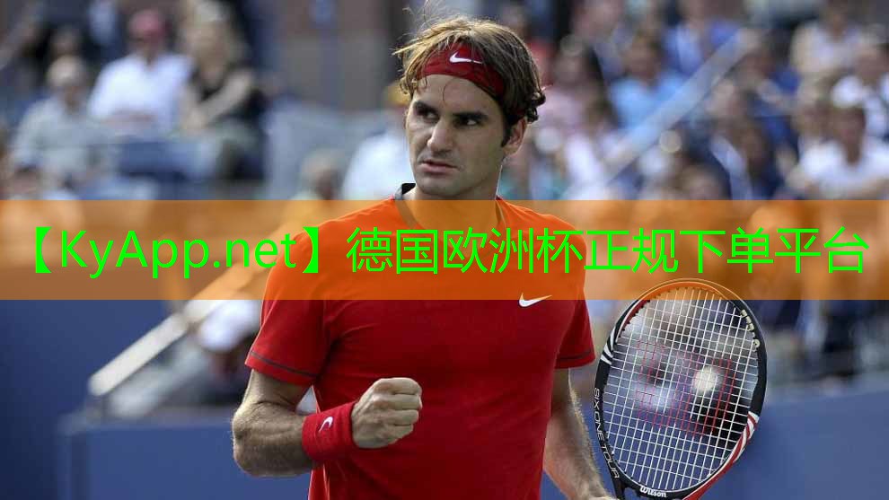 2024欧洲杯官网：小编力推！儿童球木头滑梯带给孩子开心和冒险的乐园！