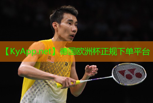 2024欧洲杯网站：硅pu球场打磨机