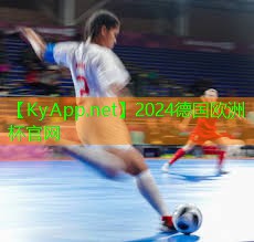 2024欧洲杯官网：磨砂乒乓球台
