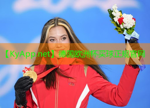 双管齐下！室外体育云梯助您锻炼耐力与协调能力