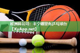 欧洲杯公司：丰宁哪里有乒乓球台