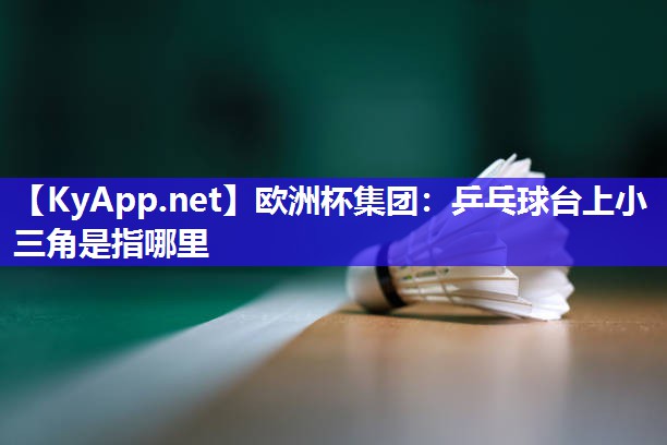 欧洲杯集团：乒乓球台上小三角是指哪里