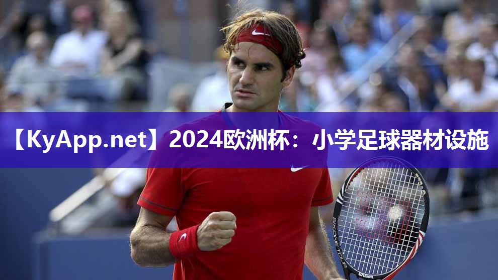 2024欧洲杯：小学足球器材设施
