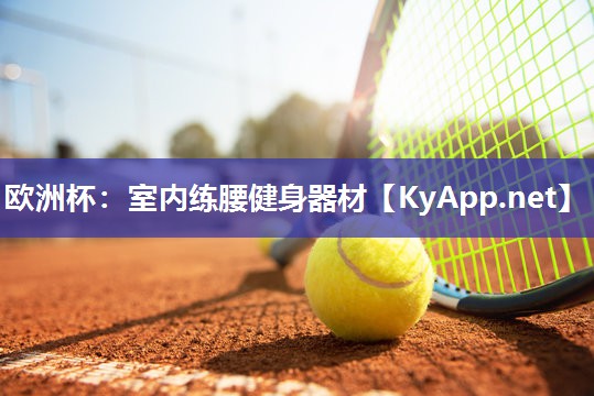 欧洲杯：室内练腰健身器材