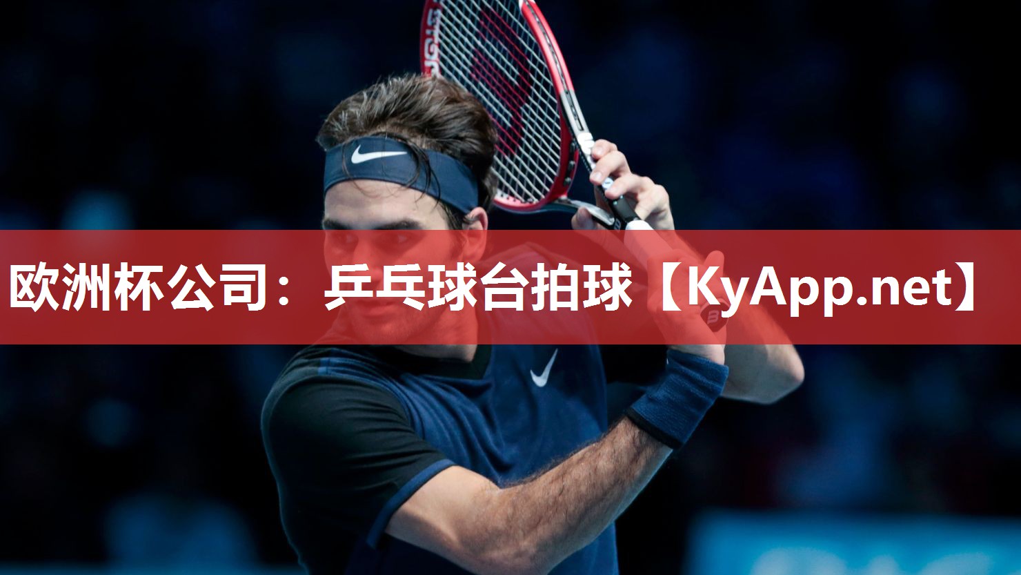 欧洲杯公司：乒乓球台拍球