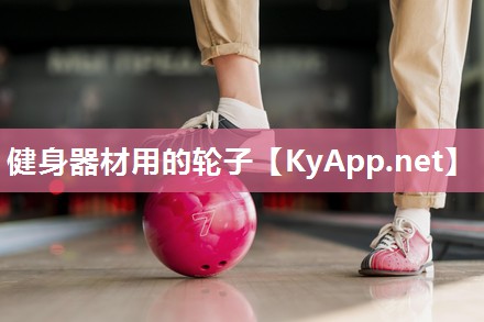 健身器材用的轮子