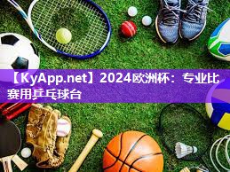 2024欧洲杯：专业比赛用乒乓球台