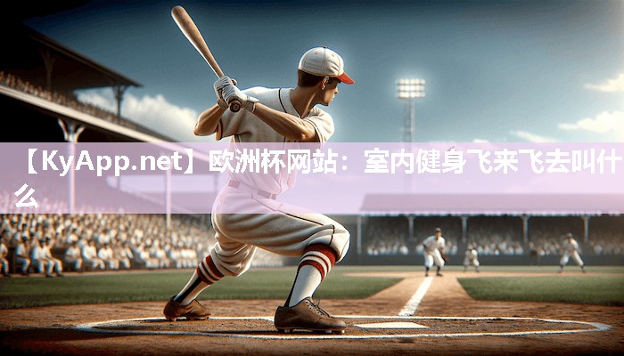欧洲杯网站：室内健身飞来飞去叫什么