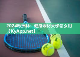 2024欧洲杯：健身器材天梯怎么用