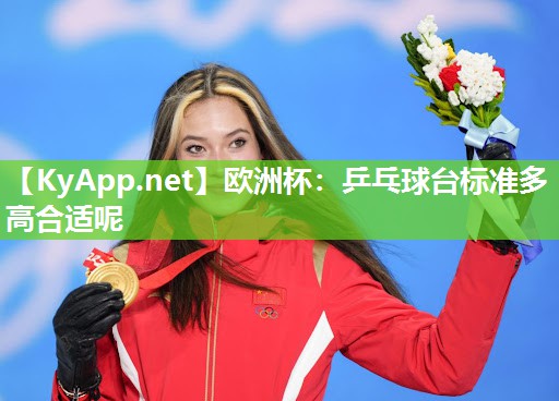 欧洲杯：乒乓球台标准多高合适呢