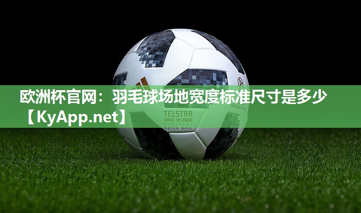 欧洲杯官网：羽毛球场地宽度标准尺寸是多少