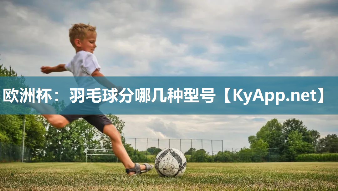 欧洲杯：羽毛球分哪几种型号
