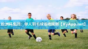 欧洲杯集团：单人羽毛球场地规则