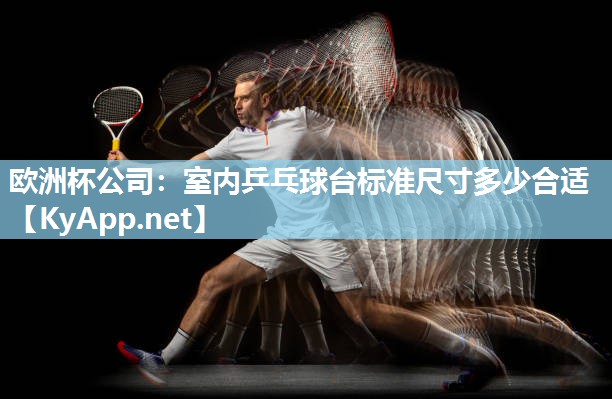 欧洲杯公司：室内乒乓球台标准尺寸多少合适