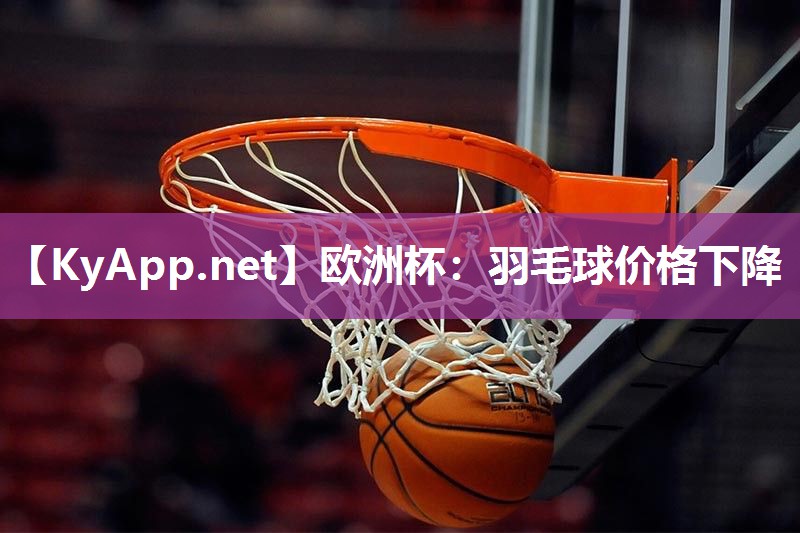 欧洲杯：羽毛球价格下降