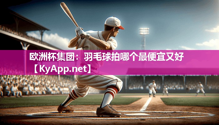 欧洲杯集团：羽毛球拍哪个最便宜又好
