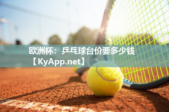 欧洲杯：乒乓球台价要多少钱