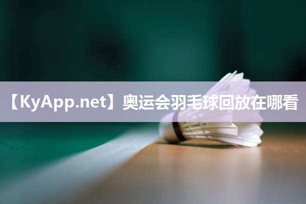 奥运会羽毛球回放在哪看