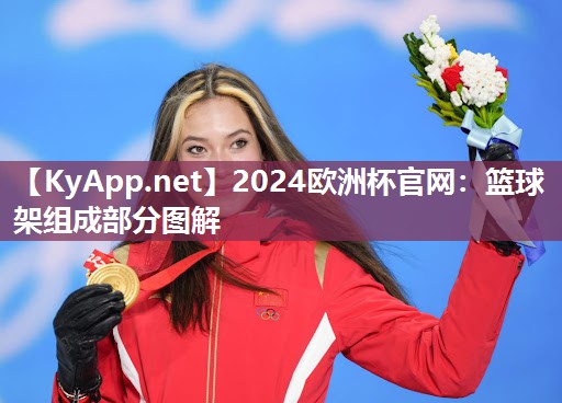2024欧洲杯官网：篮球架组成部分图解