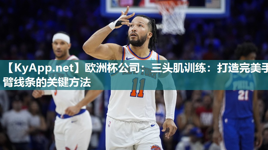 欧洲杯公司：三头肌训练：打造完美手臂线条的关键方法