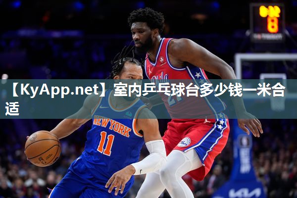 室内乒乓球台多少钱一米合适
