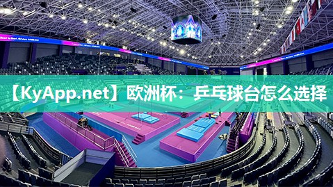 欧洲杯：乒乓球台怎么选择