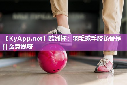 欧洲杯：羽毛球手胶龙骨是什么意思呀