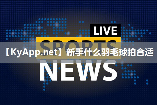 新手什么羽毛球拍合适