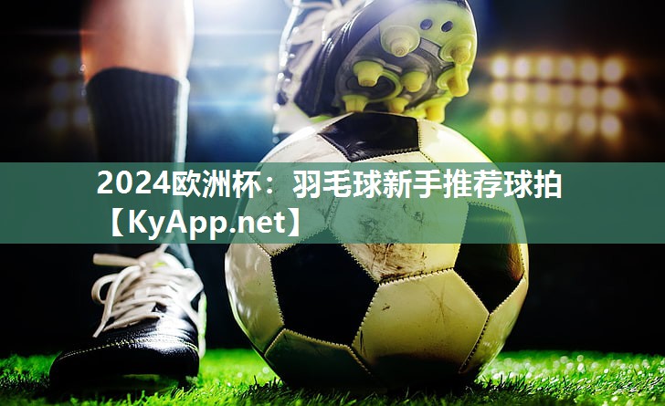 2024欧洲杯：羽毛球新手推荐球拍