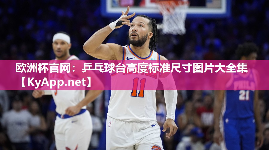 欧洲杯官网：乒乓球台高度标准尺寸图片大全集