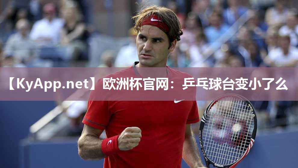 乒乓球台变小了么