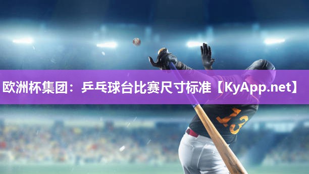 乒乓球台比赛尺寸标准