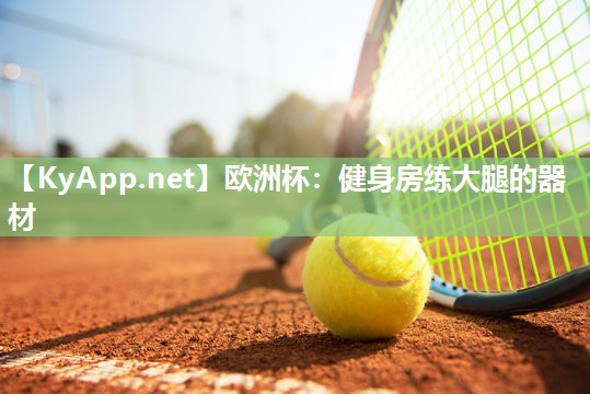 健身房练大腿的器材