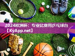 专业比赛用乒乓球台