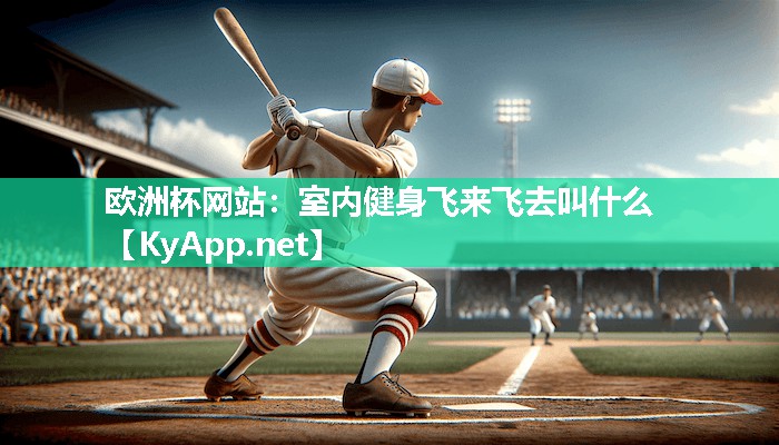 室内健身飞来飞去叫什么