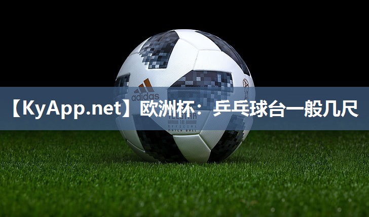 乒乓球台一般几尺