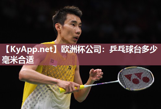乒乓球台多少毫米合适