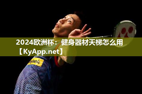 健身器材天梯怎么用