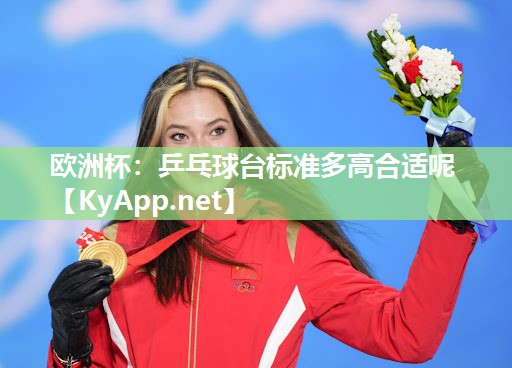 乒乓球台标准多高合适呢