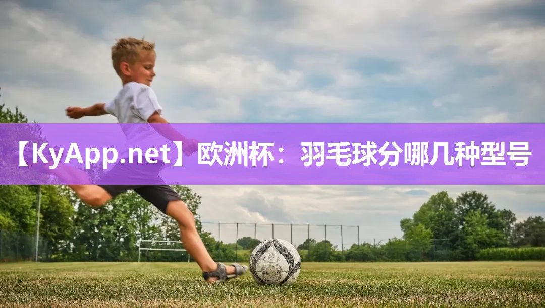 羽毛球分哪几种型号