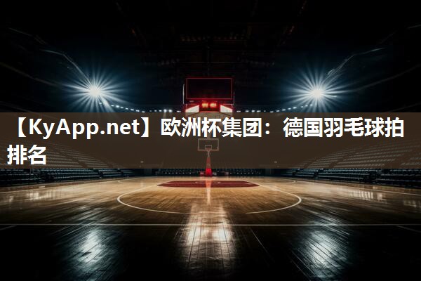 德国羽毛球拍排名