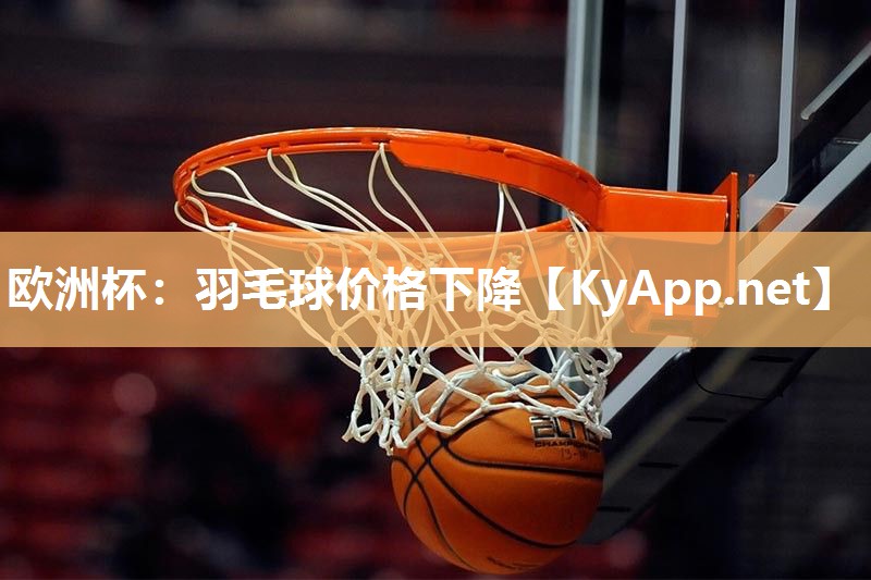 羽毛球价格下降