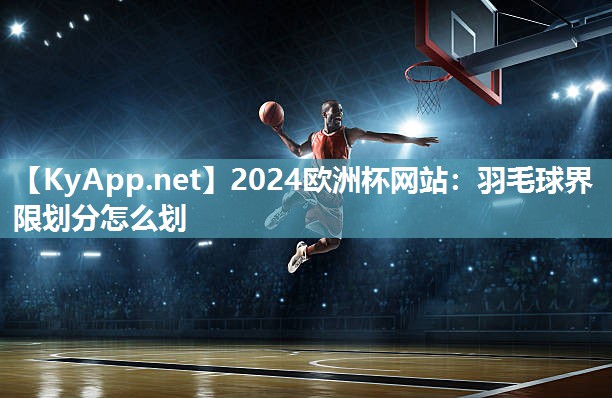 羽毛球界限划分怎么划