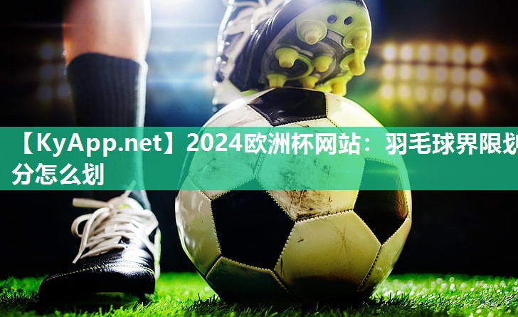 羽毛球界限划分怎么划