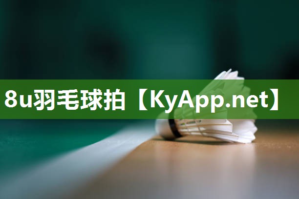 8u羽毛球拍