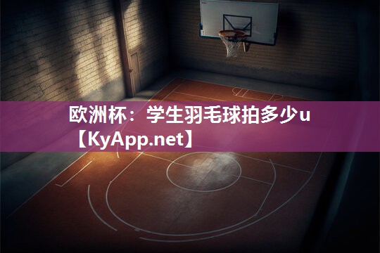 学生羽毛球拍多少u