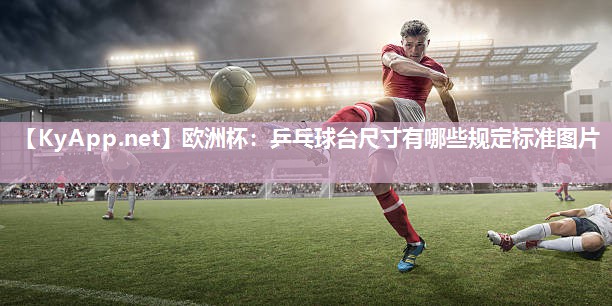 乒乓球台尺寸有哪些规定标准图片