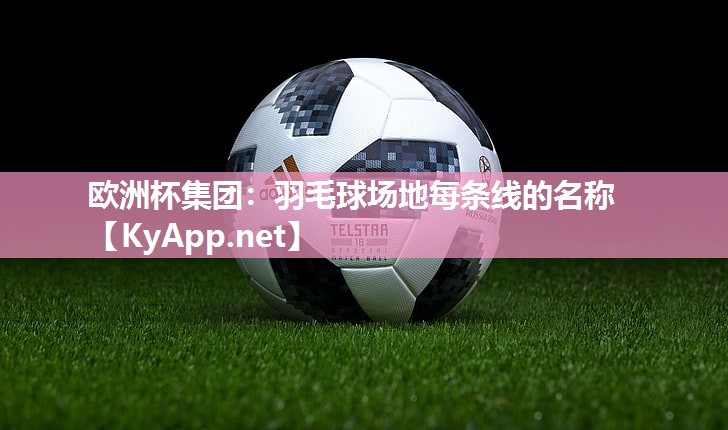 羽毛球场地每条线的名称