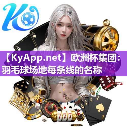 羽毛球场地每条线的名称