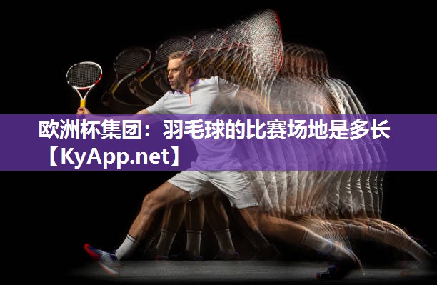 羽毛球的比赛场地是多长